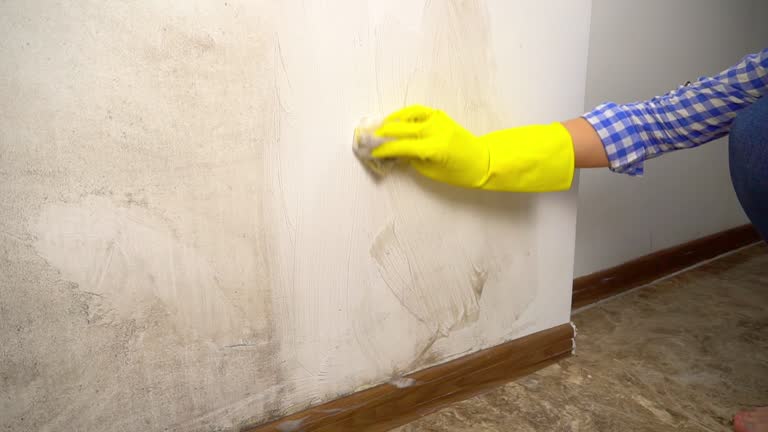  , OK Mold Removal Pros